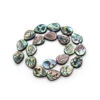 Abalone Shell Beads, Leaf, DIY & different size for choice, multi-colored, Sold Per Approx 38 cm Strand