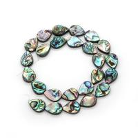 Abalone Shell Beads, Teardrop, DIY & different size for choice, multi-colored, Sold Per Approx 38 cm Strand