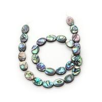 Perles coquillage d'ormeau, coquille d'ormeau, ovale, DIY & normes différentes pour le choix, multicolore, Vendu par brin