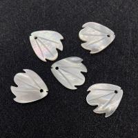 Shell Pendants Natural Seashell petals fashion jewelry & DIY Sold By PC