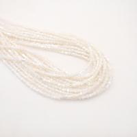 Natural Freshwater Shell Beads, Trochus Shell, mushroom, Carved, fashion jewelry & DIY, white, 4x8mm, Length:38 cm, Sold By PC