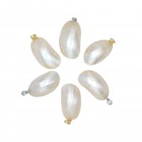 Natural Trumpet Shell Pendants Round polished fashion jewelry & DIY - Sold By PC