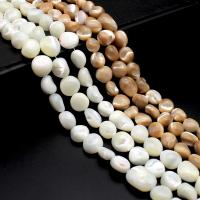Natural Freshwater Shell Beads, Trochus, irregular, polished, DIY, more colors for choice, 11-12mm, Length:38 cm, Sold By PC