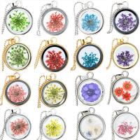 Fashion Locket Necklace, Tibetan Style, with Dried Flower & Glass, Flat Round, plated, ball chain & for woman, more colors for choice, 25x25mm, Length:Approx 19.6 Inch, Sold By PC