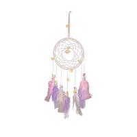 Fashion Dream Catcher, Feather, with Iron, hanging, mixed colors, 420mm, Sold By PC