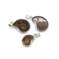 Gemstone Pendants Jewelry Trumpet Shell Fossil with Brass Conch silver color plated Unisex Sold By PC