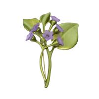 Zinc Alloy Brooches Flower stoving varnish fashion jewelry & for woman nickel lead & cadmium free 20-60mm Sold By Lot