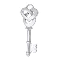 Stainless Steel Pendants 316 Stainless Steel Key DIY original color Approx 3mm Sold By PC