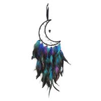 Fashion Dream Catcher Feather with Iron hanging black 530mm Sold By PC