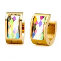 Titanium Steel  Earring with Acrylic real gold plated fashion jewelry & for woman Sold By Pair