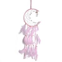Fashion Dream Catcher, Feather, with Iron, hanging & different styles for choice, more colors for choice, 550mm, Sold By PC