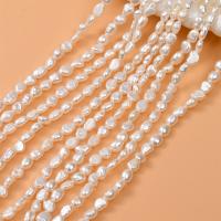 Perles nacres baroques de culture d'eau douce , perle d'eau douce cultivée, DIY & styles différents pour le choix, Vendu par brin
