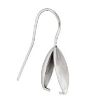 Stainless Steel Hook Earwire, 316 Stainless Steel, fashion jewelry & Unisex, original color, 9.5x14mm,0.8mm,24mm, Sold By PC