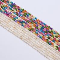 Perles de coquille colore naturelle, ovale, DIY, plus de couleurs à choisir, 3x5mm, Vendu par Environ 38 cm brin