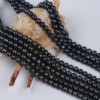 Cultured Round Freshwater Pearl Beads, DIY, malachite green, 7-8mm, Sold Per Approx 38 cm Strand