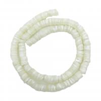 Natural Seashell Beads Flat Round Carved DIY Sold Per Approx 40 cm Strand