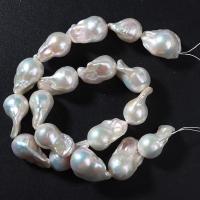 Perles nacres baroques de culture d'eau douce , perle d'eau douce cultivée, DIY, 14-18mm, Vendu par Environ 15.75 pouce brin