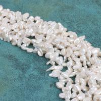 Barokowe koraliki z hodowlanych pereł słodowodnych, Perła naturalna słodkowodna, Płatki, DIY, biały, 11-12x6-8mm, sprzedawane na około 38 cm Strand