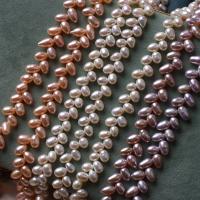 Cultured Rice Freshwater Pearl Beads, DIY, more colors for choice, 5-6mm, Sold Per Approx 36 cm Strand
