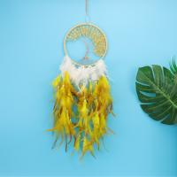 Fashion Dream Catcher, Feather, with Iron, hanging, more colors for choice, 600mm, Sold By PC