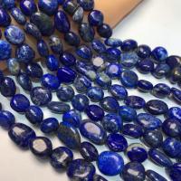Perles Lapis Lazuli, pepite, poli, DIY, couleur de lapis-lazuli, 10-14mm, Vendu par Environ 14 pouce brin