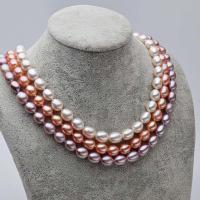 Freshwater Pearl Mässing Chain Necklace, med Mässing, Ris, silver pläterad, för kvinna, Längd 16.93 inch, Säljs av PC
