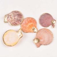 Shell Pendants Fan gold color plated Unisex mixed colors 40-60mm Sold By PC