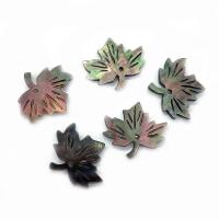 Pingentes de concha, Maple Leaf, unissex, Mais cores pare escolha, 14x16mm, vendido por PC