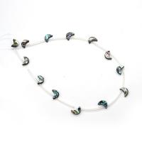 Abalone -Shell-Beads, conchiglia Abalone, Luna, DIY, multi-colore, 8x12mm, Venduto per Appross. 38 cm filo