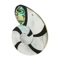 Natural Abalone Shell Riipukset, kanssa Valkoinen kuori, Luonnollinen & muoti korut & tee-se-itse, monivärinen, 39x46x3mm, Reikä:N. 1mm, 5PC/erä, Myymät erä