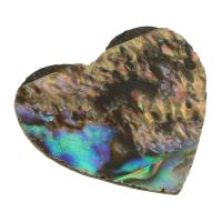 Shell Cabochons, Abalone Shell, Heart, Natural & fashion jewelry & DIY, multi-colored, 18x12x0.50mm, 10PCs/Lot, Sold By Lot
