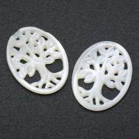 Shell Cabochons White Shell Natural & fashion jewelry & DIY & hollow white Sold By Lot