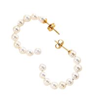 Ohrring Schmuck, Titanstahl, mit Kunststoff Perlen, plattiert, für Frau, keine, 25x30mm, verkauft von Paar