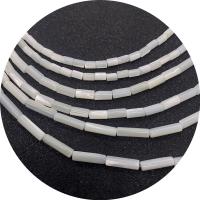 White Lip Shell Beads, Column, DIY & different size for choice, white, Sold Per Approx 14.96 Inch Strand