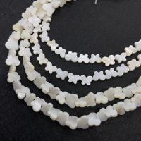 Koraliki z naturalnej słodkowodnej perły, Muszla słodkowodna, Motyl, DIY & różne style do wyboru, biały, 8x11mm, sprzedawane na około 14.96 cal Strand