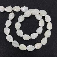 Weiße Lippenschale Perlen, Blatt, DIY & verschiedene Größen vorhanden, weiß, verkauft per ca. 14.96 ZollInch Strang