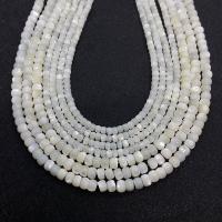 White Lip Shell Beads Abacus DIY white Sold Per Approx 14.96 Inch Strand