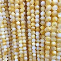 Perles de coquillage jaune naturel, Rond, poli, DIY & normes différentes pour le choix, Jaune, Vendu par Environ 14.96 pouce brin
