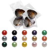 Oyster & Wish Pearl Kit, Natürliche kultivierte Süßwasserperlen, rund, gemischte Farben, 7-8mm,300x180x70mm, ca. 50PCs/Menge, verkauft von Menge