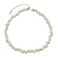 Přírodní Sladkovodní Pearl náhrdelník, Zinek, s Sladkovodní Pearl, s 7cm extender řetězce, barva pozlacený, módní šperky & pro ženy, bílý, Prodáno za 35 cm Strand