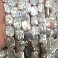 Barock kultivierten Süßwassersee Perlen, Natürliche kultivierte Süßwasserperlen, DIY, 14x18mm, verkauft per ca. 15 ZollInch Strang