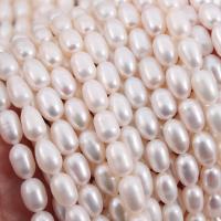 Riso coltivato in perla d'acqua dolce, perla d'acquadolce coltivata naturalmente, DIY, bianco, 6mm, Venduto per Appross. 15 pollice filo