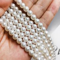 Perlas Redondas Freshwater, Perlas cultivadas de agua dulce, Bricolaje, Blanco, 7-8mm, Vendido para aproximado 15.94 Inch Sarta