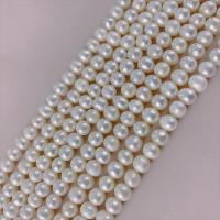 Perlas Redondas Freshwater, Perlas cultivadas de agua dulce, Bricolaje, Blanco, 5-6mm, aproximado 73PCs/Sarta, Vendido para aproximado 14.96 Inch Sarta