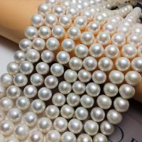 Perles de nacre rondes de culture d'eau douce, perle d'eau douce cultivée, DIY, blanc, 10-11mm, Vendu par Environ 15.94 pouce brin