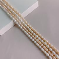 Cultured Rice Freshwater Pearl Beads DIY Sold Per Approx 15.35 Inch Strand