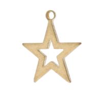 Hollow Brass Pendants, Star, Unisex, original color, nickel, lead & cadmium free, 12.50x14x1mm, Hole:Approx 1mm, Approx 1000PCs/Bag, Sold By Bag