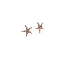 Cubic Zirconia Micro Pave Brass Earring, Star, rose gold color plated, fashion jewelry & micro pave cubic zirconia & for woman, nickel, lead & cadmium free, 10.60x10.60mm, Sold By Pair