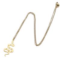 Titanstahl Halskette, Schlange, plattiert, Modeschmuck & für Frau, keine, 26x33mm, Länge:45 cm, verkauft von PC