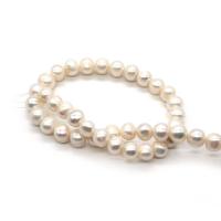 Perles de nacre rondes de culture d'eau douce, perle d'eau douce cultivée, DIY & normes différentes pour le choix, blanc, Vendu par Environ 14.96 pouce brin